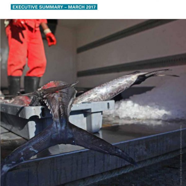 Implementation of EU seafood import controls