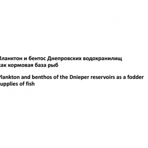 Планктон и бентос Днепровских водохранилищ как кормовая база рыб